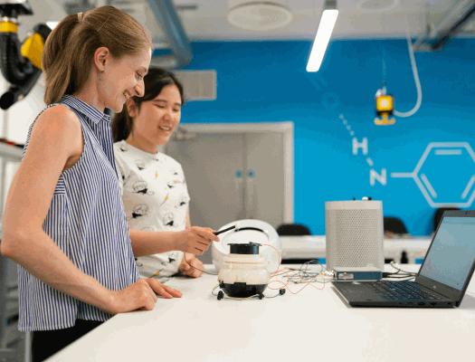 continuidad académica programas