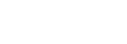 logo-insdi-white logo-insdi-white